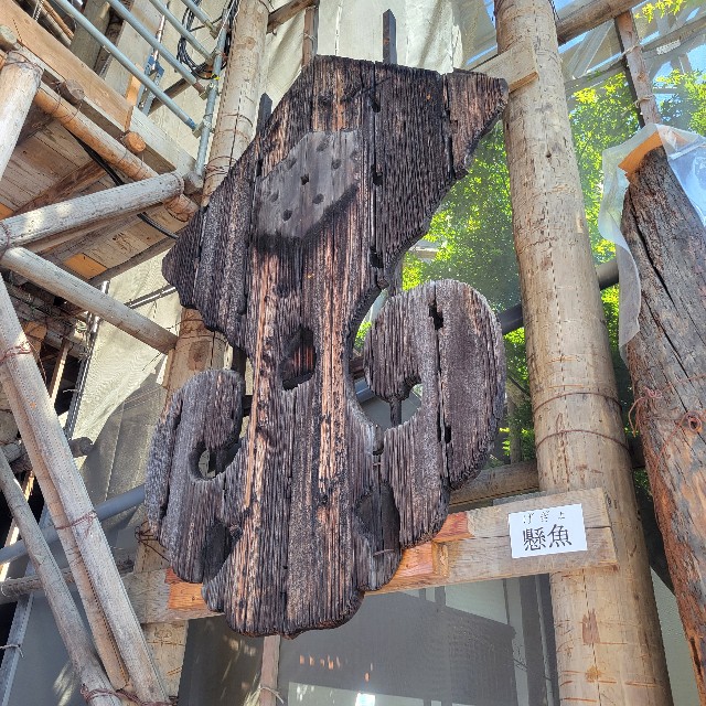 f:id:atoriatoriatori:20240523094138j:image