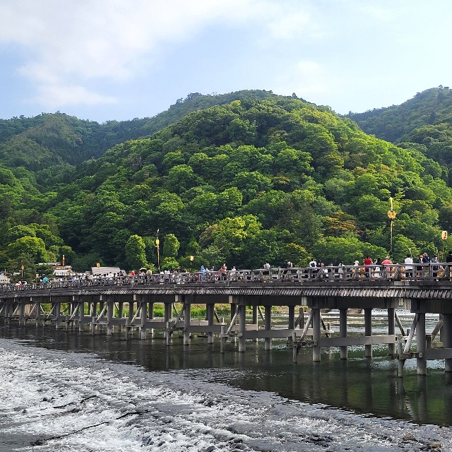 f:id:atoriatoriatori:20240528200925j:image
