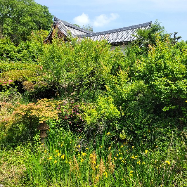 f:id:atoriatoriatori:20240531102652j:image