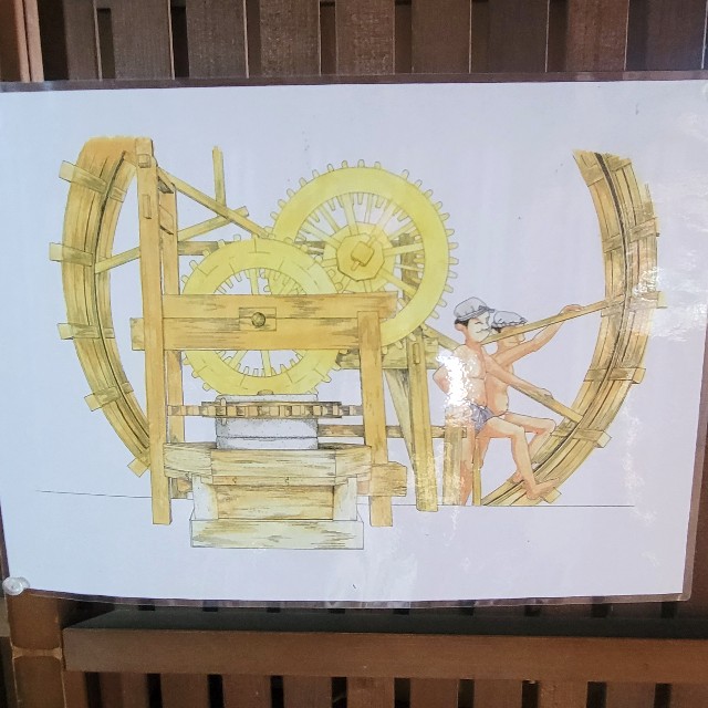 f:id:atoriatoriatori:20240531110619j:image