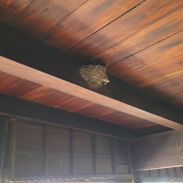 f:id:atoriatoriatori:20240531144854j:image