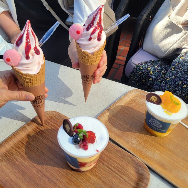 f:id:atoriatoriatori:20240602093259j:image