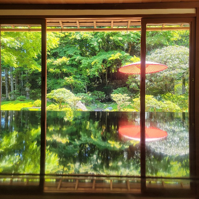 f:id:atoriatoriatori:20240605173235j:image