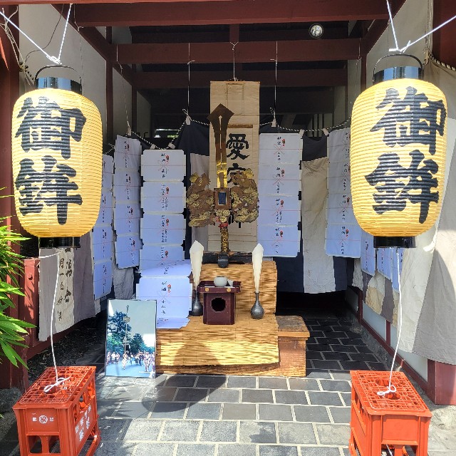 f:id:atoriatoriatori:20240610101205j:image