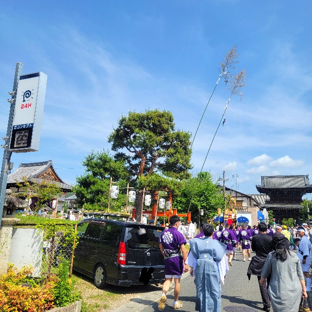 f:id:atoriatoriatori:20240610101339j:image