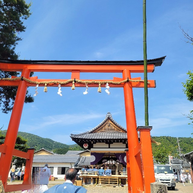 f:id:atoriatoriatori:20240610102649j:image