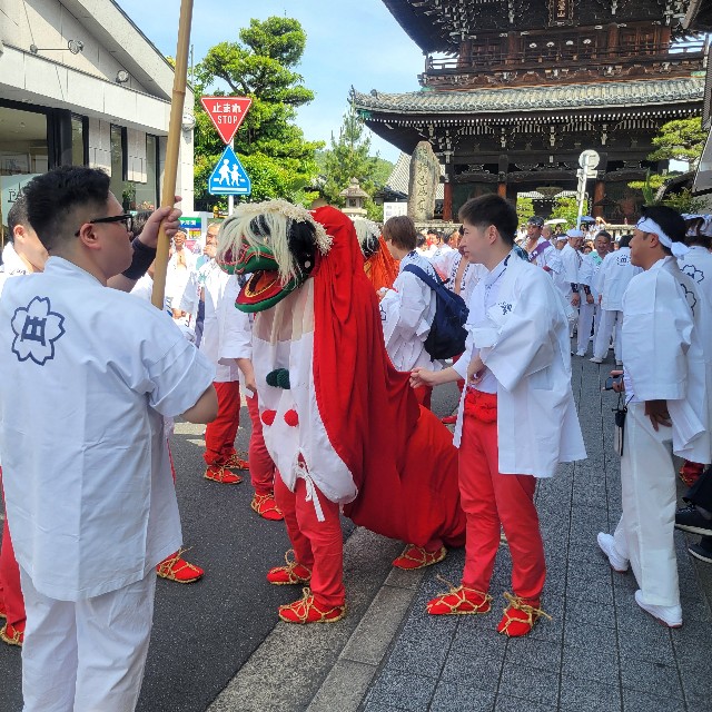 f:id:atoriatoriatori:20240610110418j:image