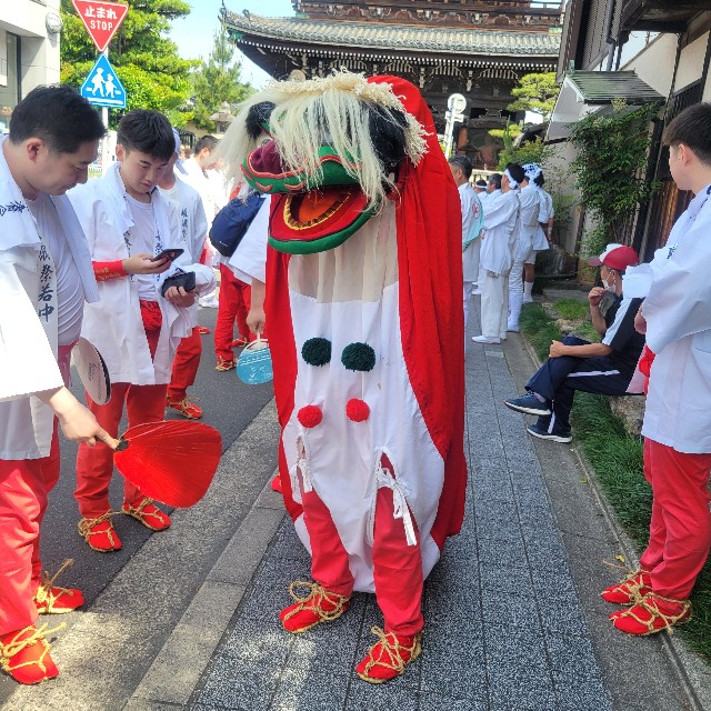 f:id:atoriatoriatori:20240610110427j:image