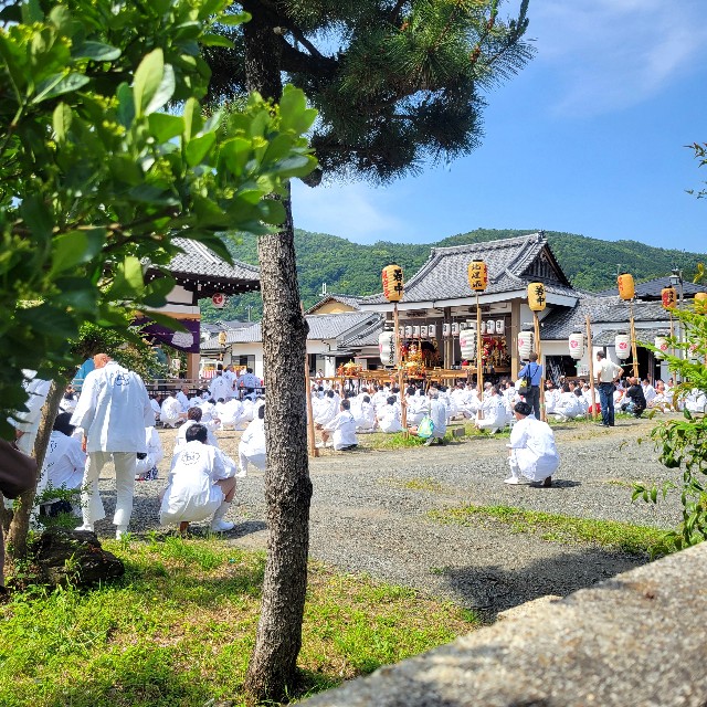 f:id:atoriatoriatori:20240610115226j:image