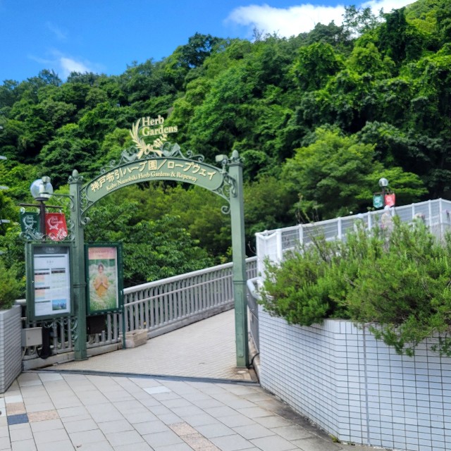 f:id:atoriatoriatori:20240611153128j:image