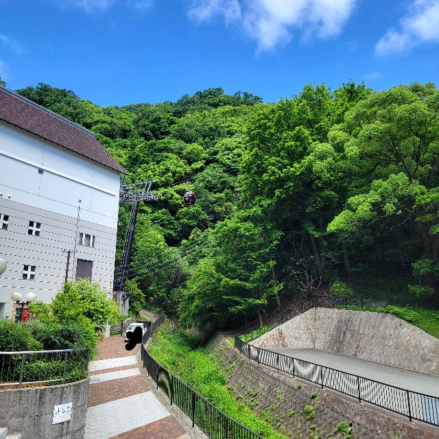 f:id:atoriatoriatori:20240611153703j:image