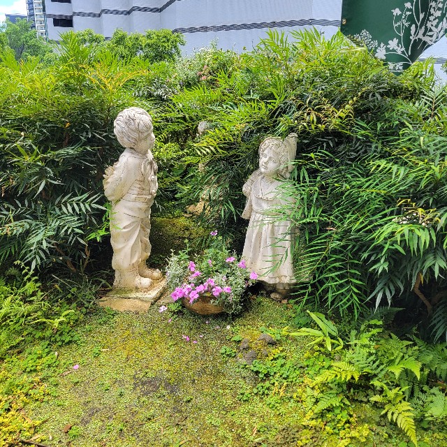 f:id:atoriatoriatori:20240611153955j:image