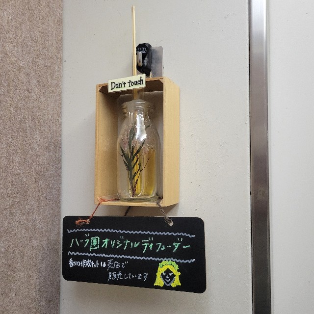 f:id:atoriatoriatori:20240611161832j:image