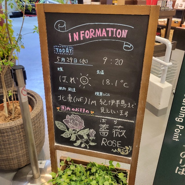 f:id:atoriatoriatori:20240611163045j:image