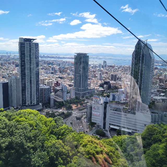 f:id:atoriatoriatori:20240611174108j:image