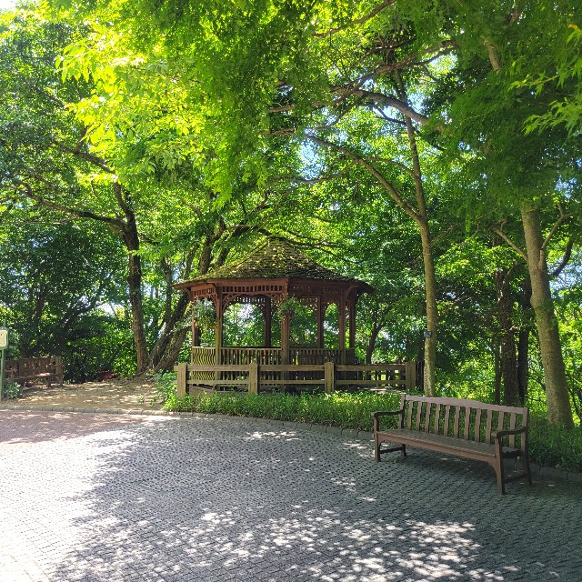 f:id:atoriatoriatori:20240612091917j:image