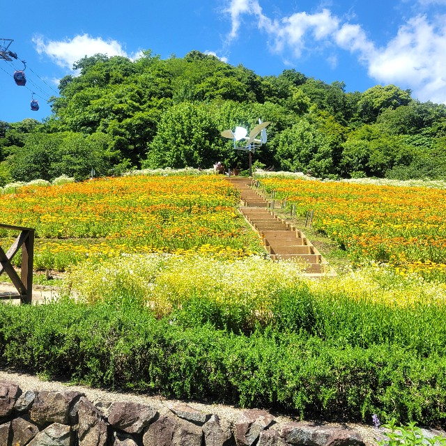 f:id:atoriatoriatori:20240614092806j:image