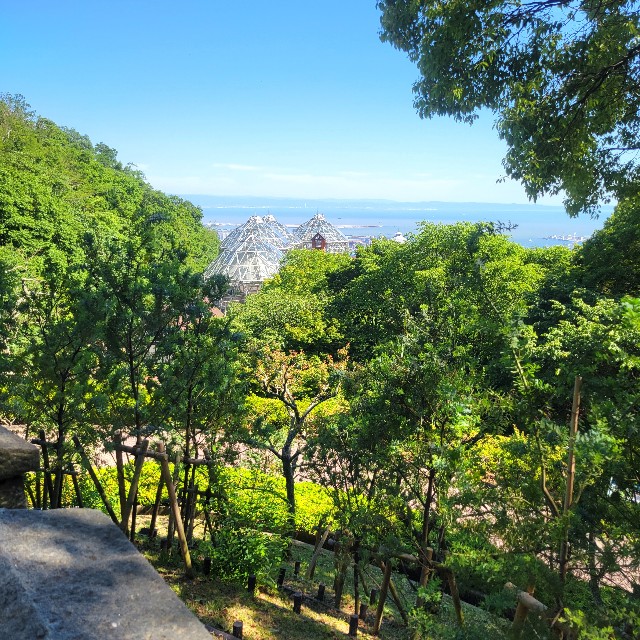 f:id:atoriatoriatori:20240614114338j:image