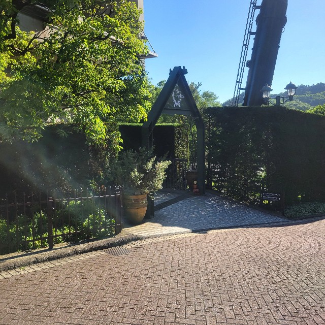 f:id:atoriatoriatori:20240614124022j:image