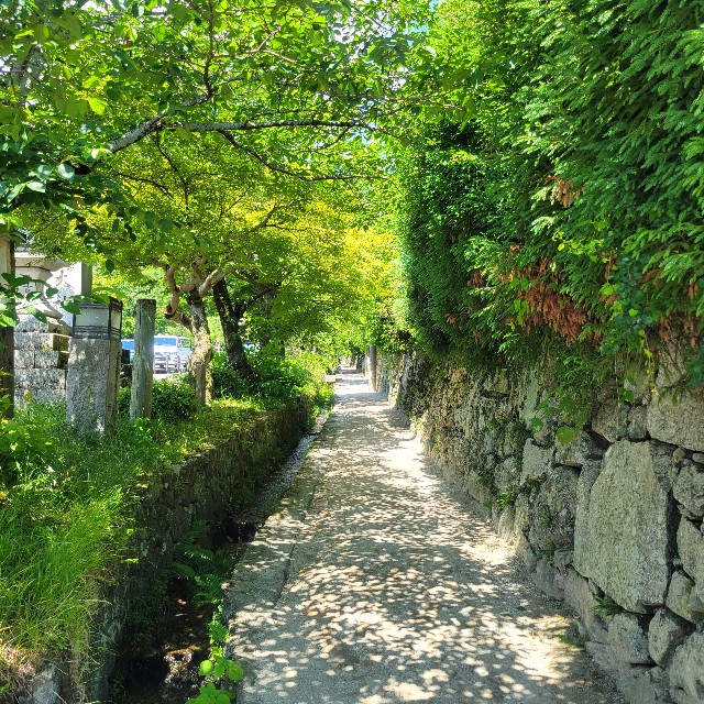 f:id:atoriatoriatori:20240615114950j:image