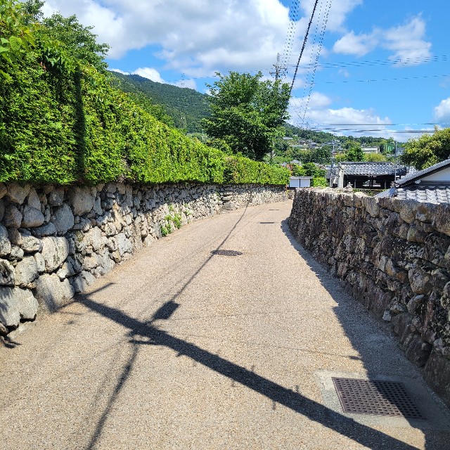 f:id:atoriatoriatori:20240615115020j:image