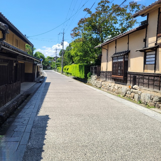 f:id:atoriatoriatori:20240615115027j:image