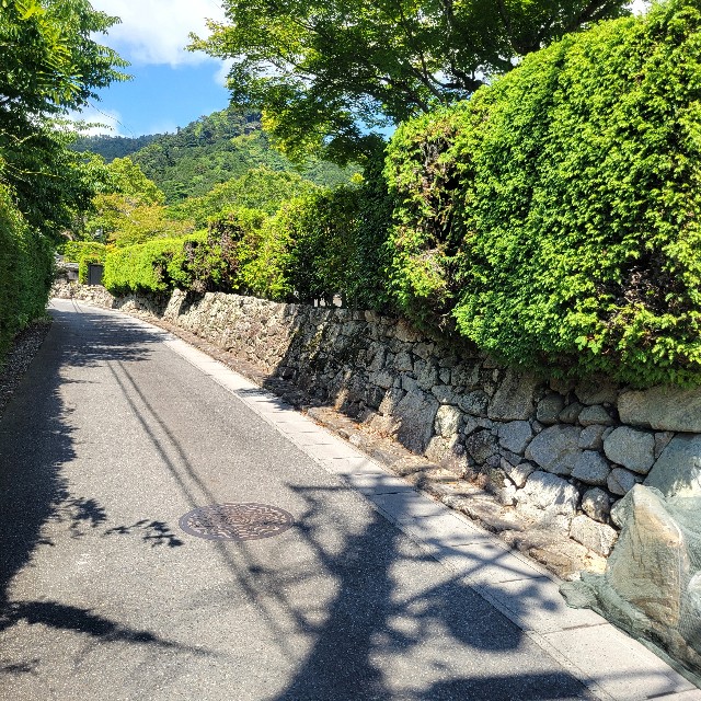 f:id:atoriatoriatori:20240615115034j:image