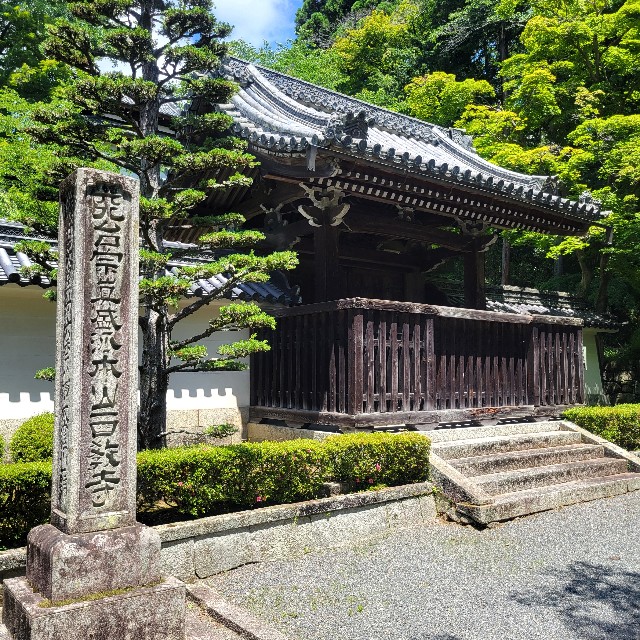 f:id:atoriatoriatori:20240617105428j:image