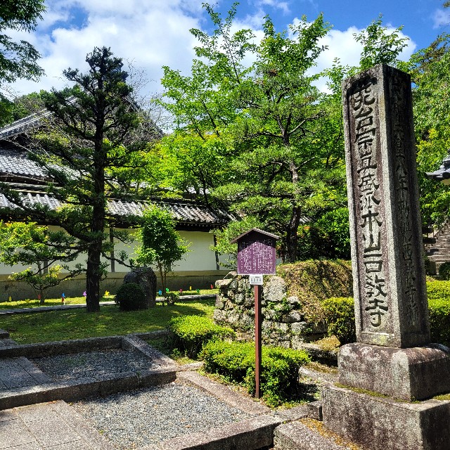 f:id:atoriatoriatori:20240617105458j:image