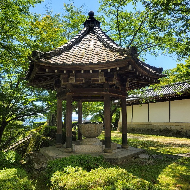 f:id:atoriatoriatori:20240617105506j:image