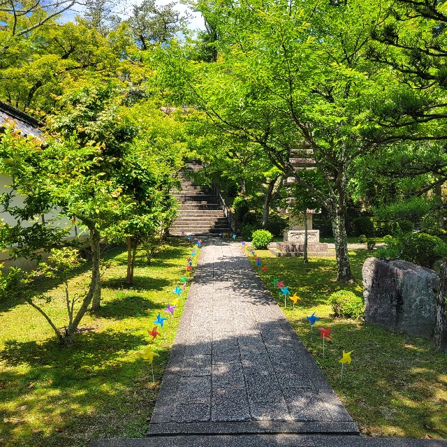 f:id:atoriatoriatori:20240617105519j:image