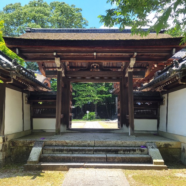 f:id:atoriatoriatori:20240617105730j:image