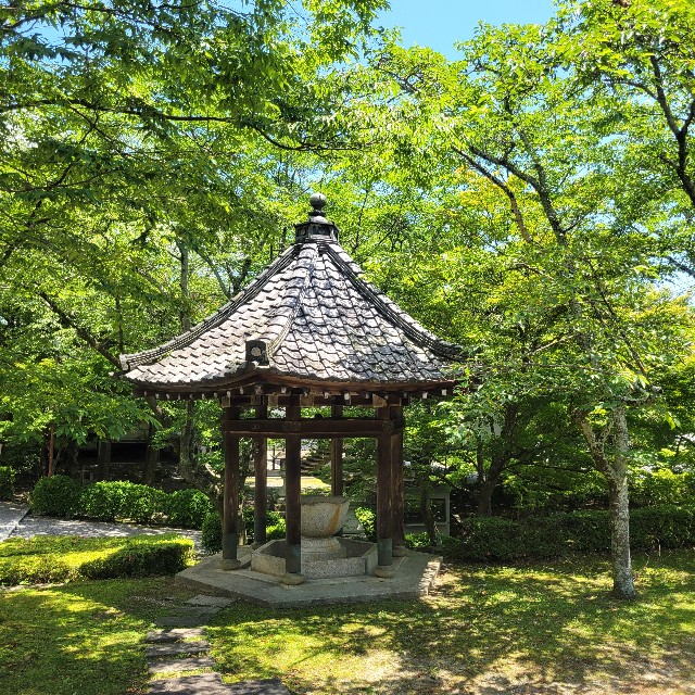 f:id:atoriatoriatori:20240617222645j:image