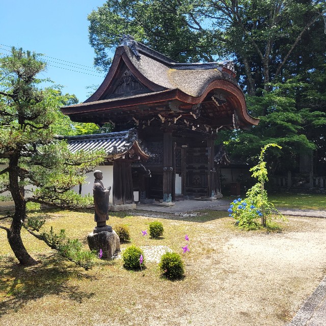 f:id:atoriatoriatori:20240617222833j:image