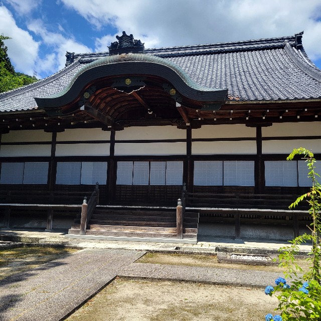 f:id:atoriatoriatori:20240618095941j:image
