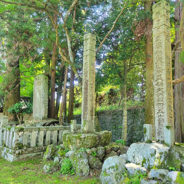 f:id:atoriatoriatori:20240618100439j:image