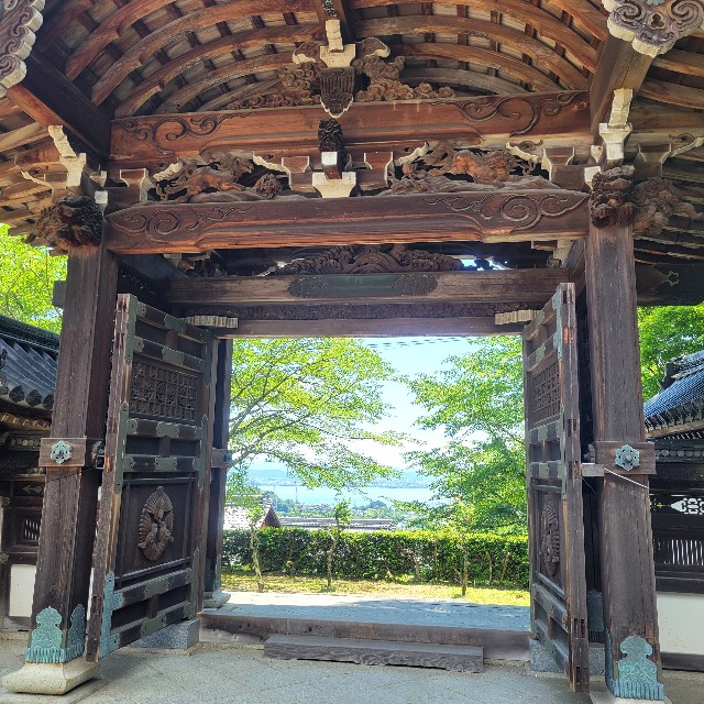f:id:atoriatoriatori:20240618103221j:image
