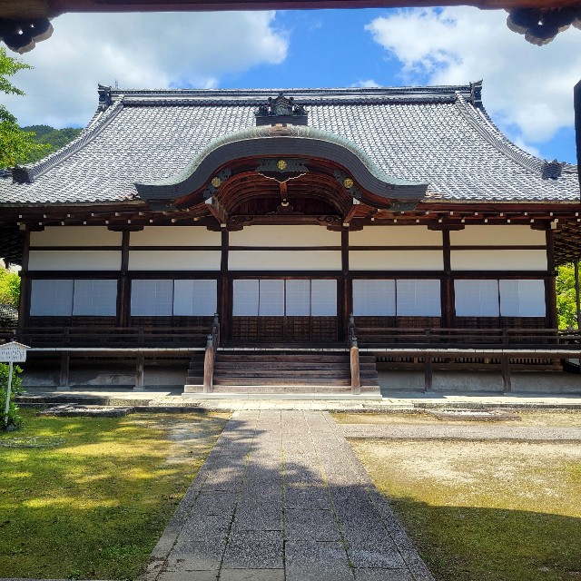 f:id:atoriatoriatori:20240618103337j:image