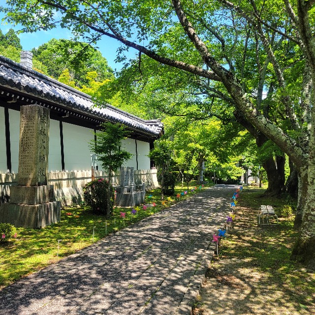 f:id:atoriatoriatori:20240618103350j:image
