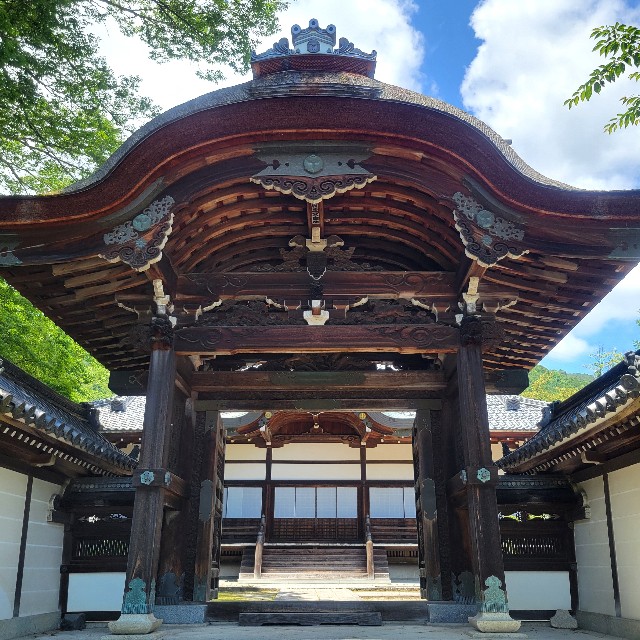f:id:atoriatoriatori:20240618103702j:image