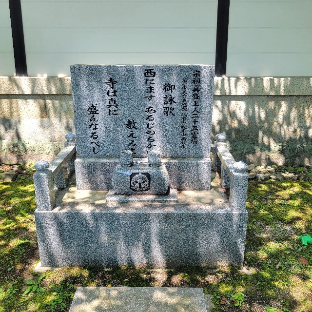 f:id:atoriatoriatori:20240618104009j:image