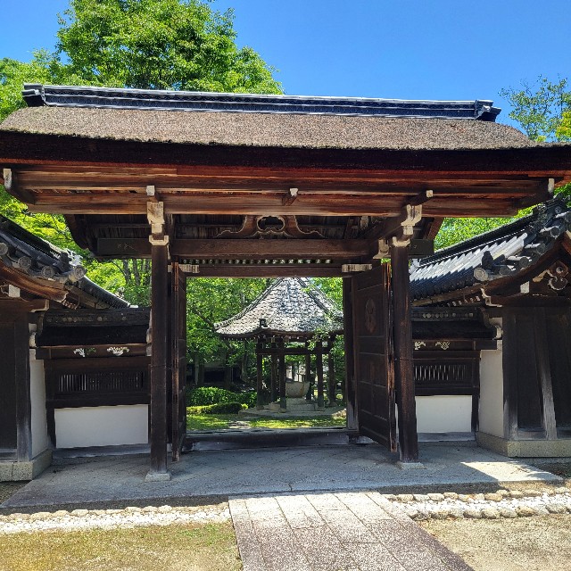 f:id:atoriatoriatori:20240618104234j:image