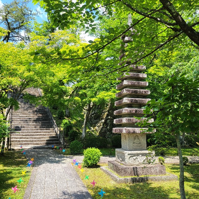 f:id:atoriatoriatori:20240618104600j:image