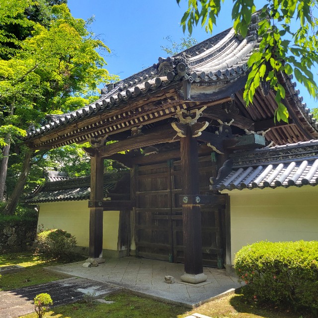 f:id:atoriatoriatori:20240618104607j:image
