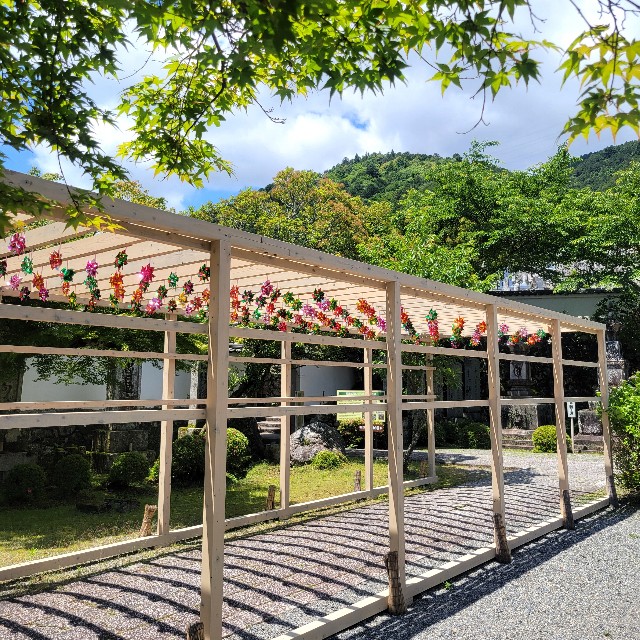 f:id:atoriatoriatori:20240618124348j:image