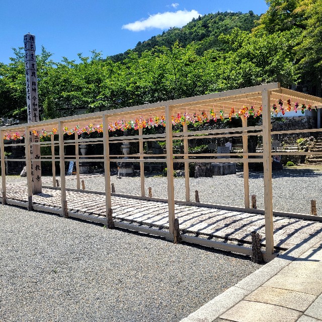 f:id:atoriatoriatori:20240618133531j:image