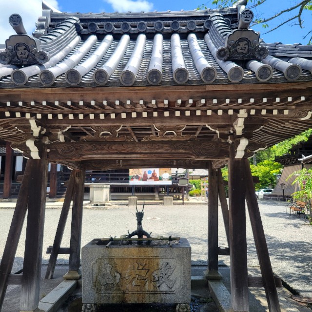 f:id:atoriatoriatori:20240618141423j:image