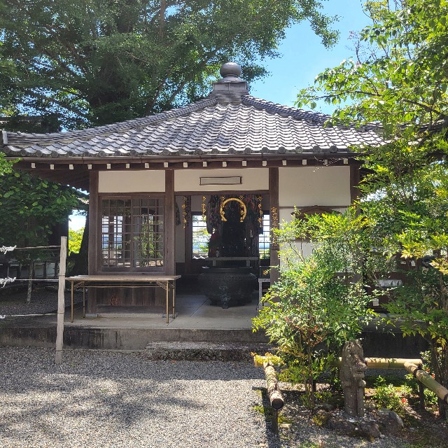 f:id:atoriatoriatori:20240618141458j:image