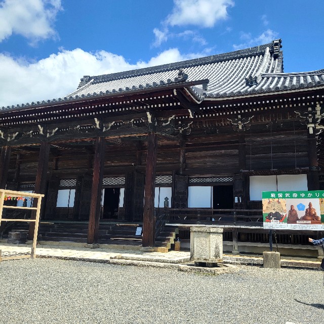f:id:atoriatoriatori:20240618141745j:image