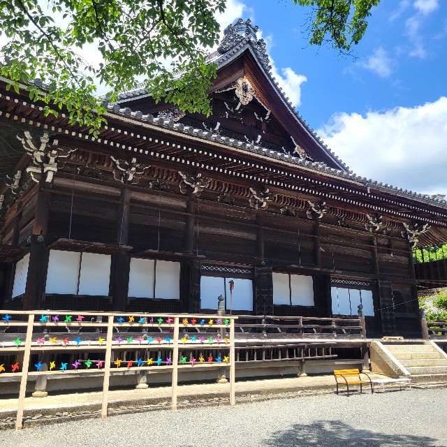 f:id:atoriatoriatori:20240618141752j:image